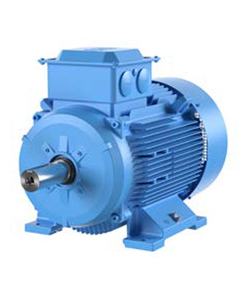 Induction Motor